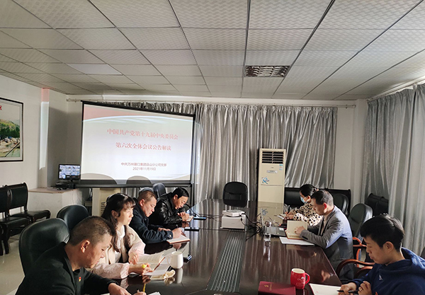 11.19巫山分公司組織全體黨員學習貫徹黨的十九屆六中全會精神.jpg